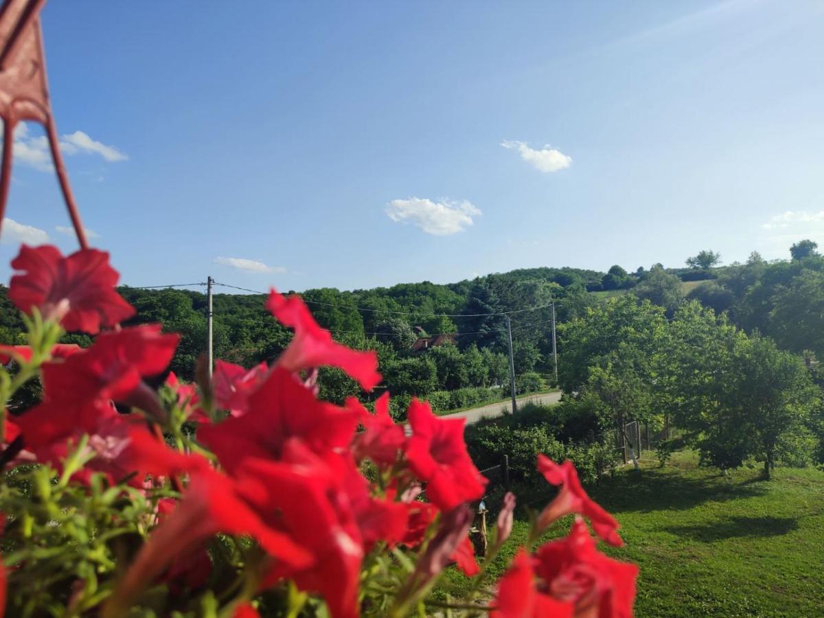 Apartman Flora Връдник Екстериор снимка